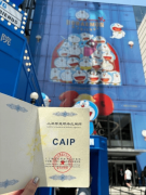 统化、权势巨子化的AI使用认证 